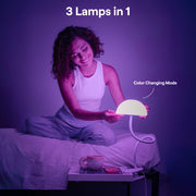 Dorm Bundle