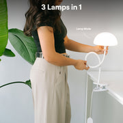 Dorm Bundle